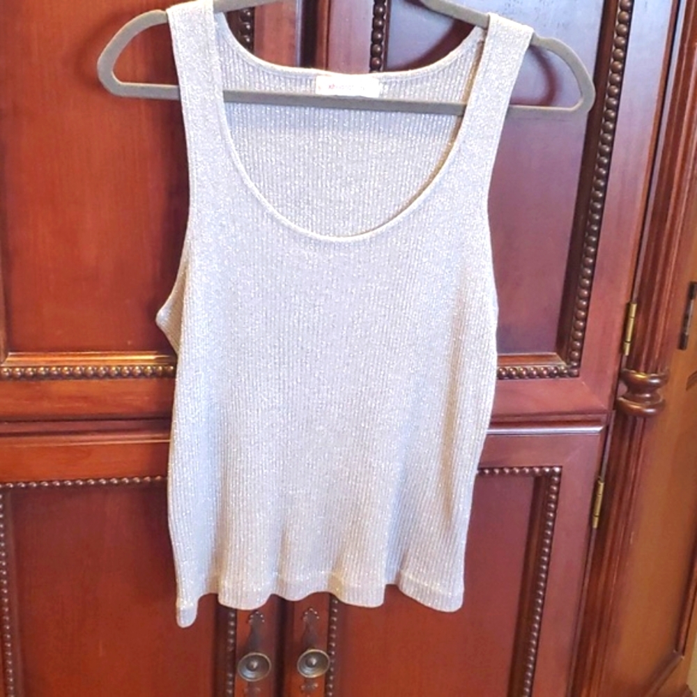 Metallic silver tank top.